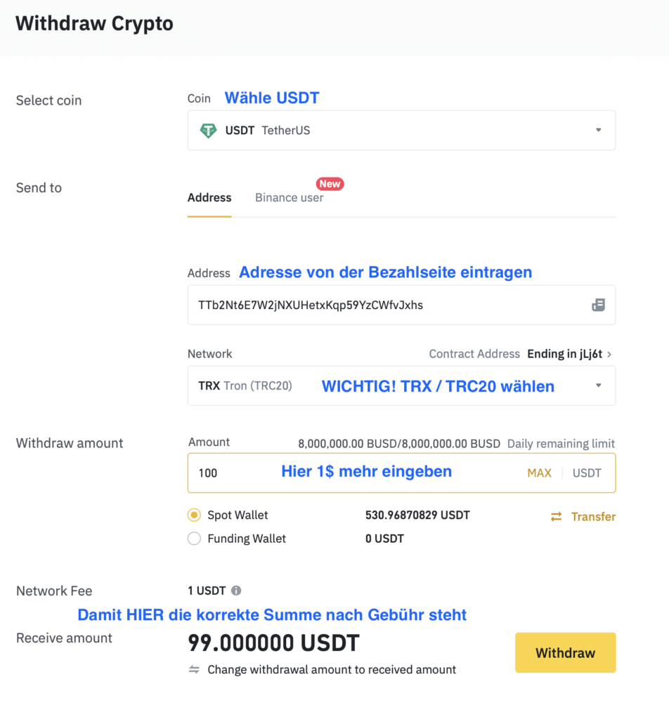 Auszahlungsmaske von Binance mit Erklärung aller Felder